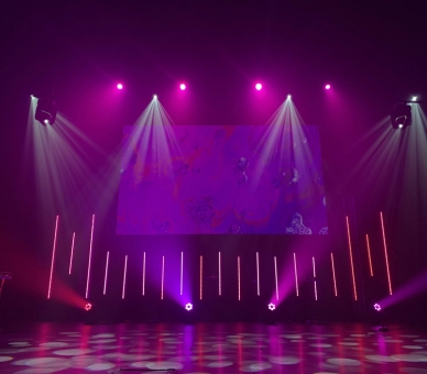 Wedding at Jag Mandir